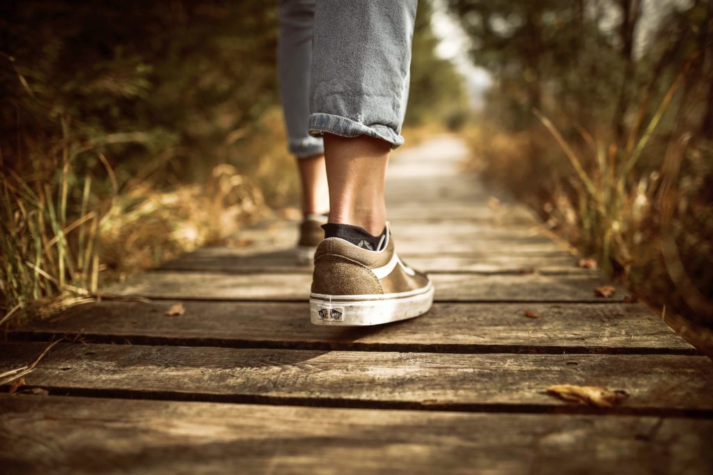 10 Reasons to Take Up Walking